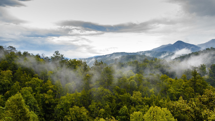 Great Smoky Mountains Great smoky mountains