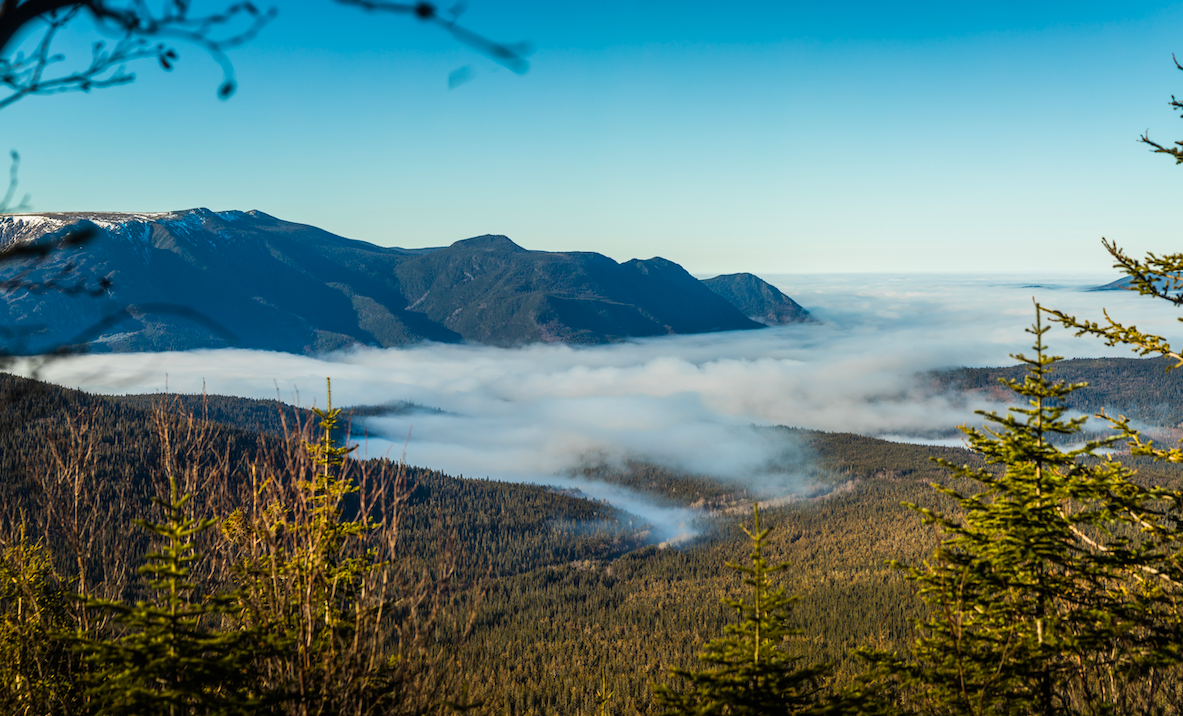Vue depuis un mont canadien vue depuis un mont avec de la fumée