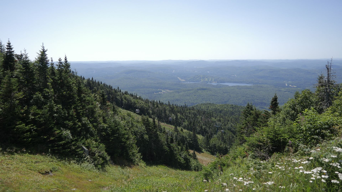 photo du parc Mont tremblant Québec parc national Mont Tremblant, Québec