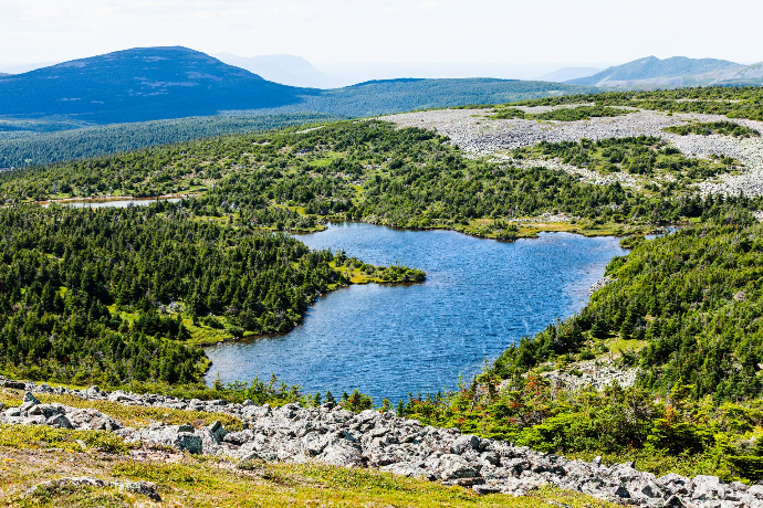 Parc Jacques Cartier 