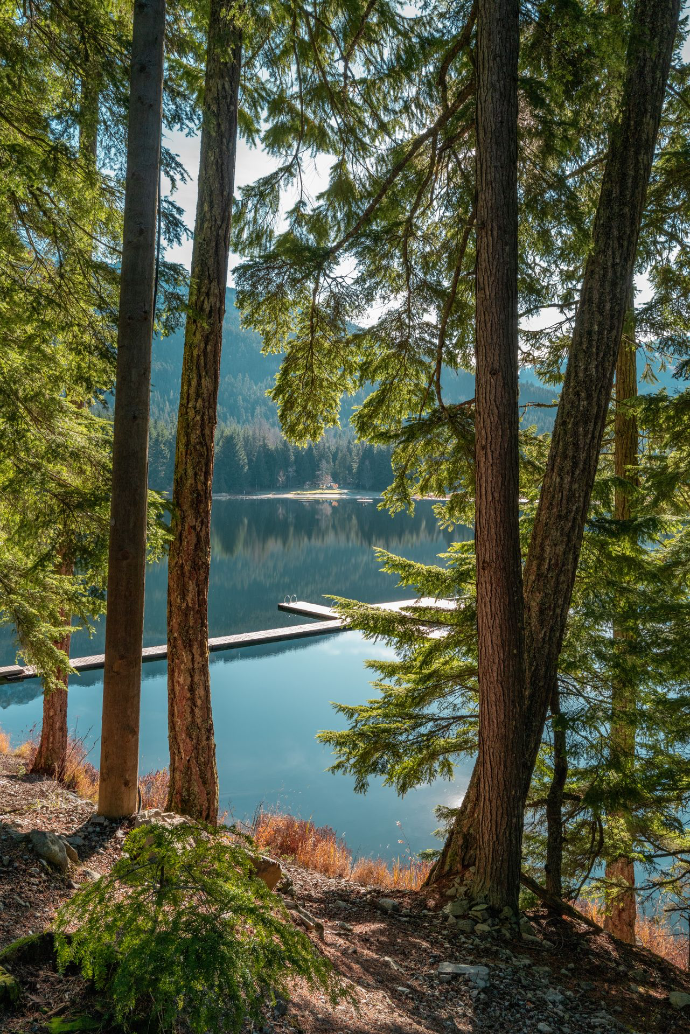 photo national de la Mauricie vue depuis un lac canadien québécois avec des arbres